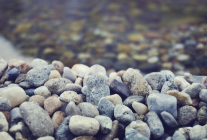 Water purification in the field without a filter: emergency and natural methods