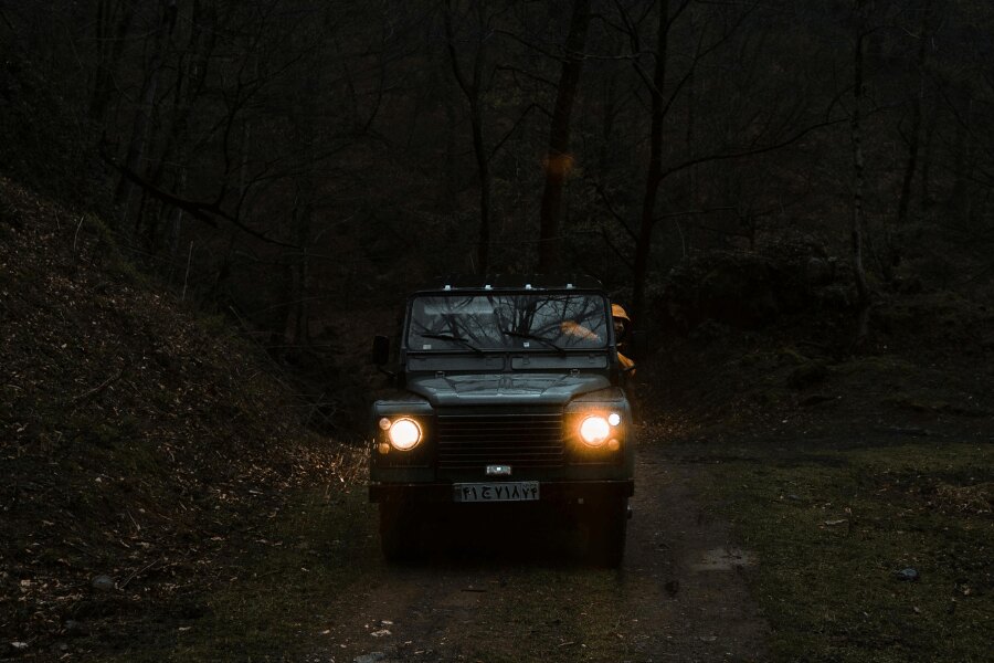 Driving an off-road vehicle at night on a forest road, which poses an increased risk of collision with wildlife. фото: https://images.pexels.com/photos/9245646/pexels-photo-9245646.jpeg?_gl=1*4ll9eu*_ga*MTYyMTU5NDI2NS4xNzUwNzYzNDA4*_ga_8JE65Q40S6*czE3NTk0OTQ1NTckbzE1JGcxJHQxNzU5NDk0NjM3JGo0NCRsMCRoMA..