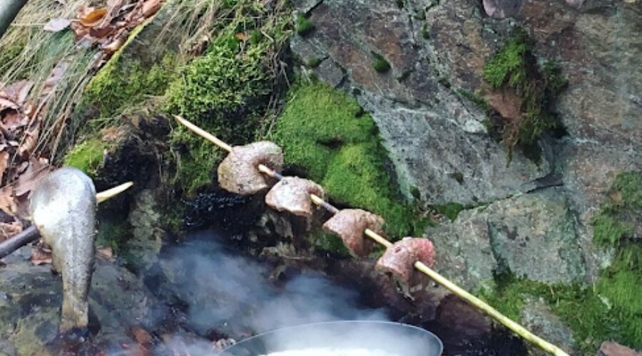 Outdoor cooking - fish and steaks