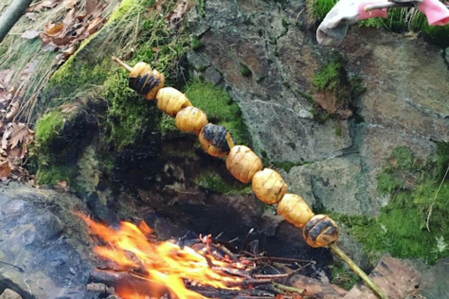 Cooking on Fire - Potatoes