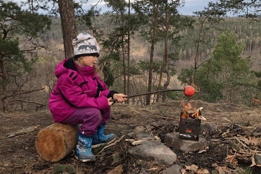 A wood burner