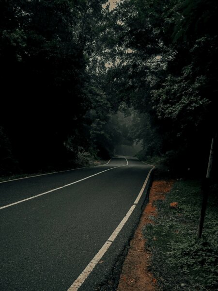 Forest path in the autumn dusk, ideal environment for an increased risk of collision with wildlife. Source: https://www.pexels.com/cs-cz/foto/asfaltova-cesta-mezi-stromy-10102957/