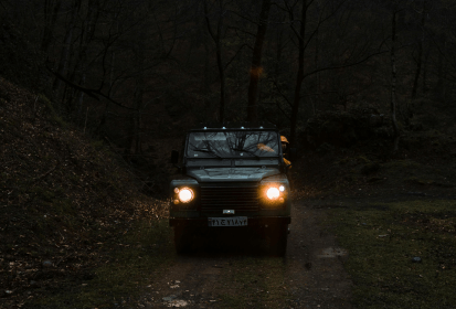How to Avoid Collisions with Wildlife on Roads: Practical Tips for Drivers