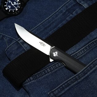Firebird FH11 Ganzo® Closing Knife